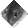 Dératisation
